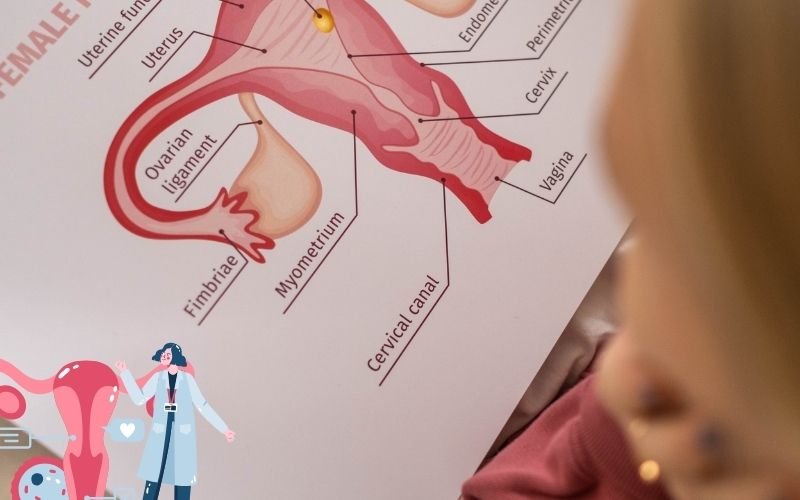 What is Vaginoplasty surgery and its types Gynae surgeon in Delhi explains